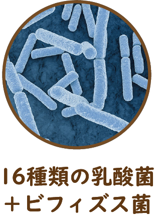 16種類の乳酸菌+ビフィズス菌